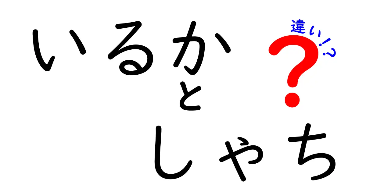 【保存版】いるかとしゃちの違いをわかりやすく解説！海の生き物を混同しないためのポイント