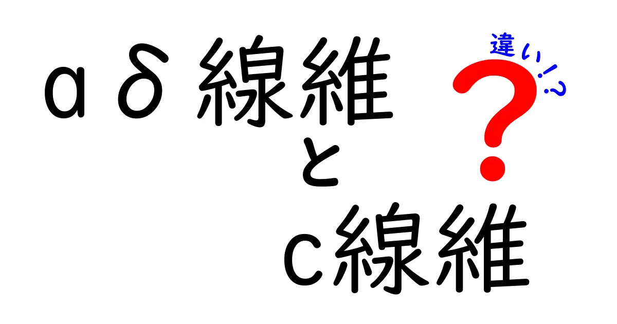 aδ線維とc線維の違いをわかりやすく解説:鋭い痛みと鈍い痛みの正体を知ろう