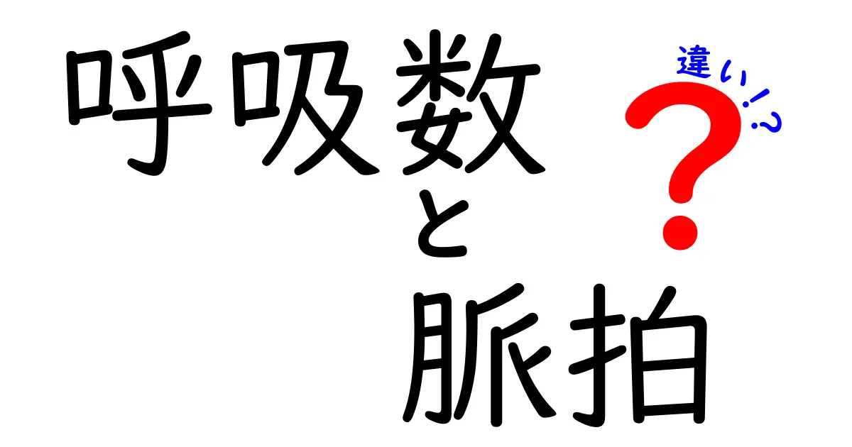 呼吸数と脈拍の違いを徹底解説!体のリズムが教える健康のサインを見逃さないための入門ガイド