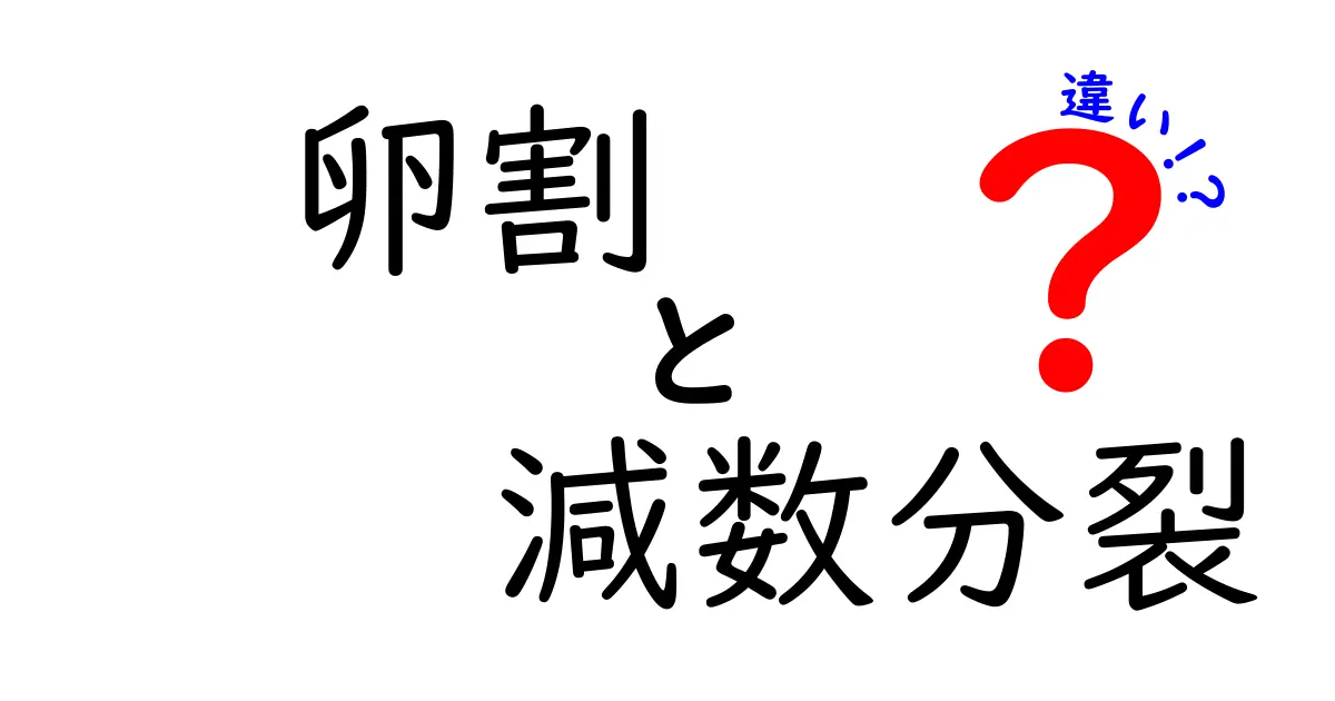 卵割と減数分裂の違いを徹底解説!中学生でもわかる生殖細胞のしくみ