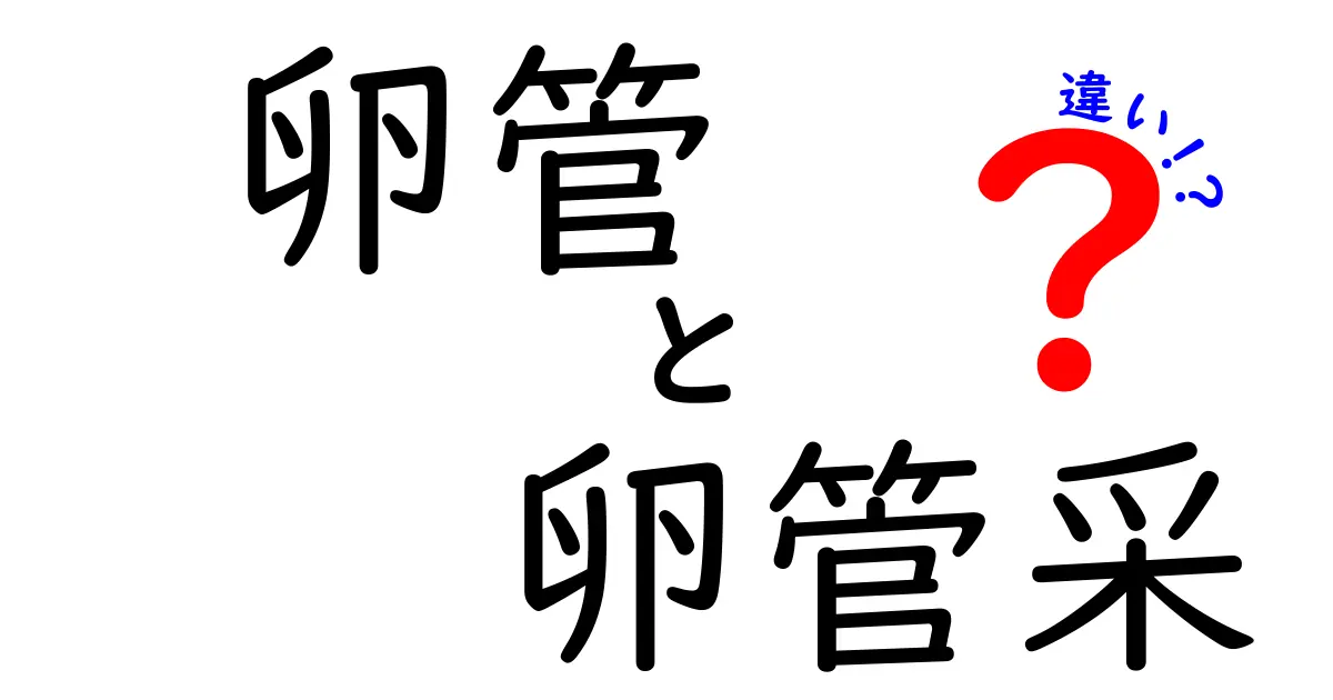 卵管と卵管采の違いを完全解説!中学生でも分かるやさしい図解つき