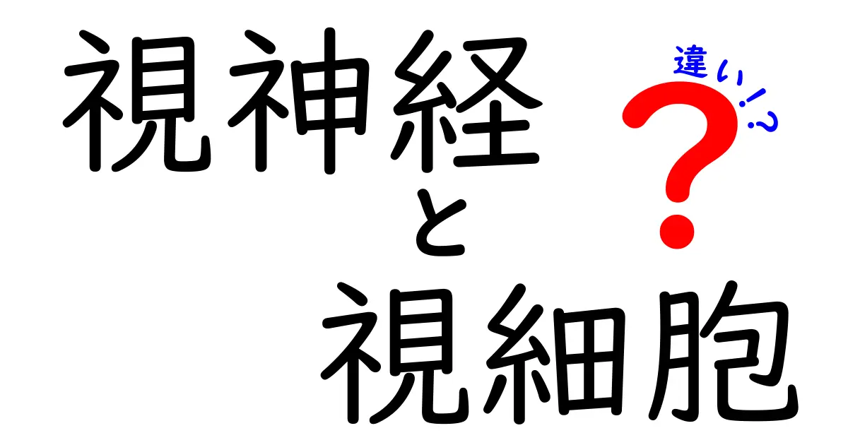 視神経と視細胞の違いを3分で理解!中学生にもやさしい解説