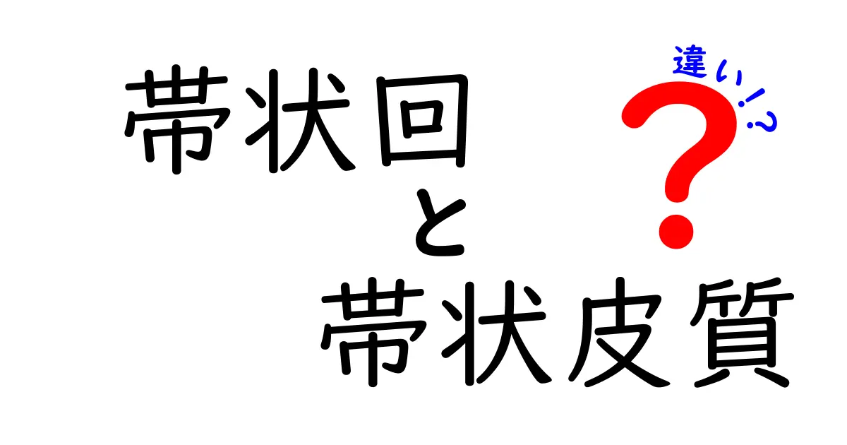 帯状回と帯状皮質の違いを徹底解説!脳のこの部分が何をしているのかを中学生にもわかるように