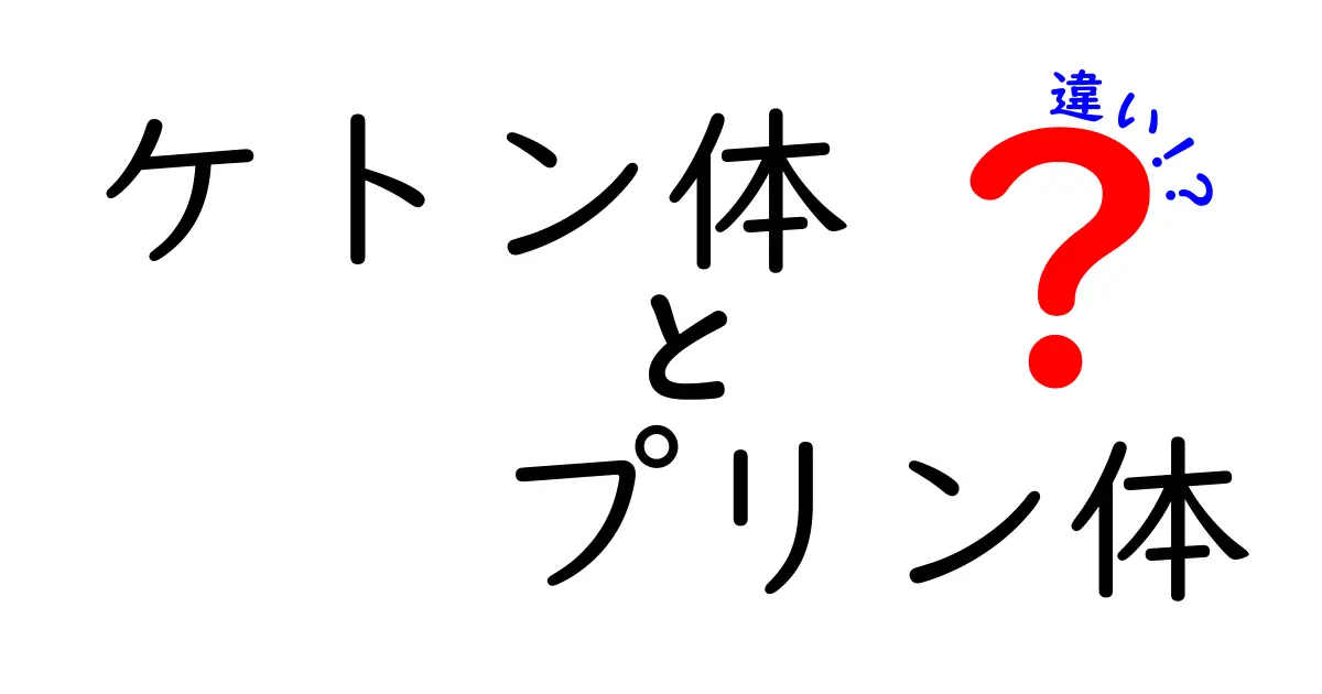 ケトン体とプリン体の違いをやさしく解説！健康や食生活で知っておきたいポイント