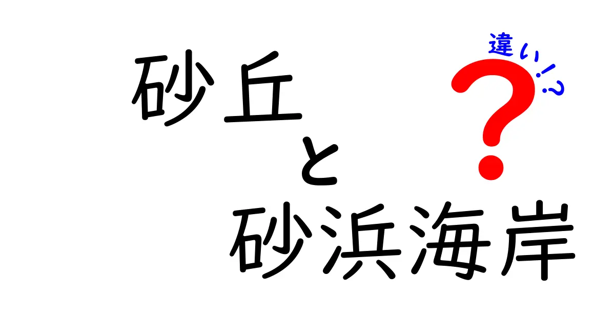 砂丘と砂浜海岸の違いとは?自然が作り出す美しい砂の世界を徹底解説!