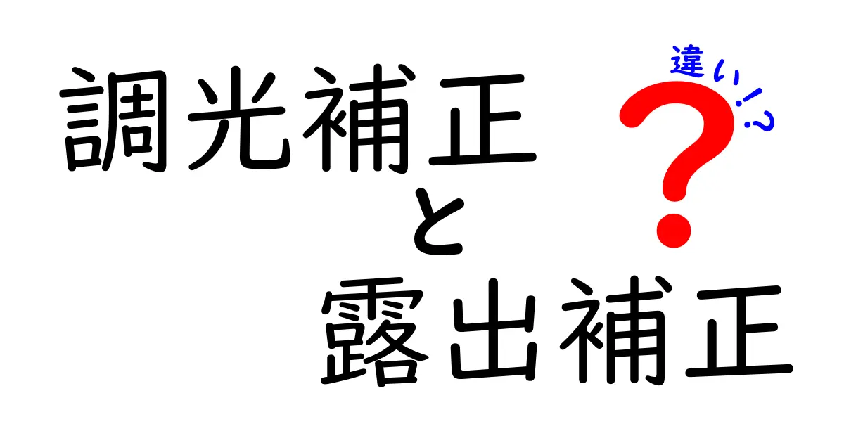 調光補正と露出補正の違いを徹底解説：写真の明るさと雰囲気を正しく操るコツ