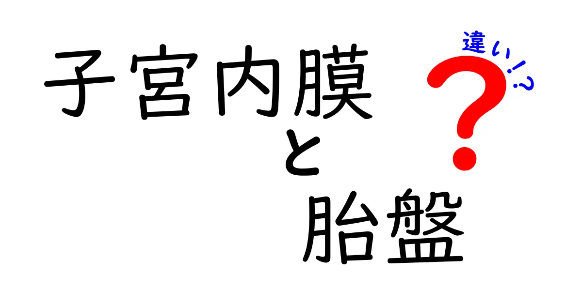 子宮内膜と胎盤の違いを徹底解説!図解つきで中学生にもわかるやさしい解説