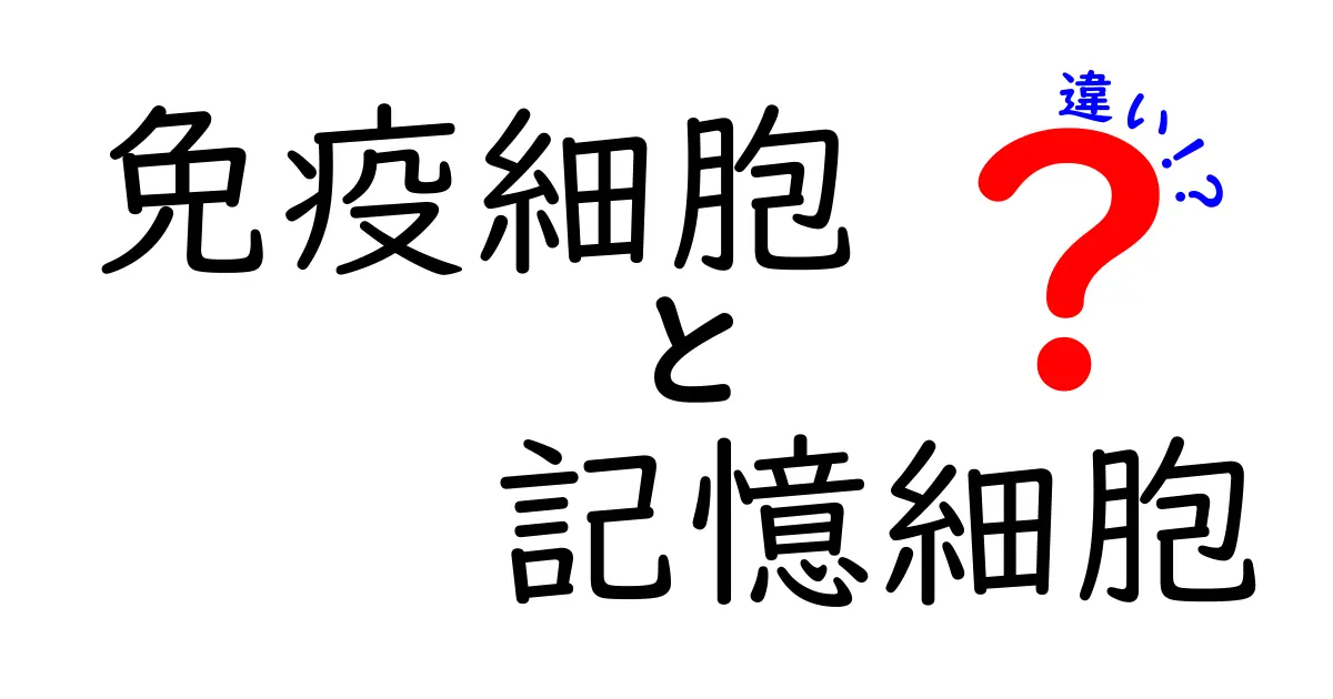 免疫細胞と記憶細胞の違いを徹底解説！中学生でもわかる免疫の仕組み