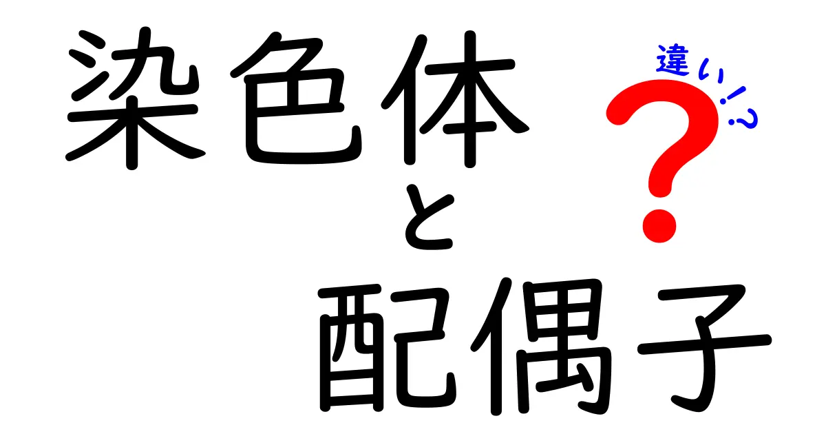 染色体と配偶子の違いを徹底解説!中学生にもわかるポイントと図解付き