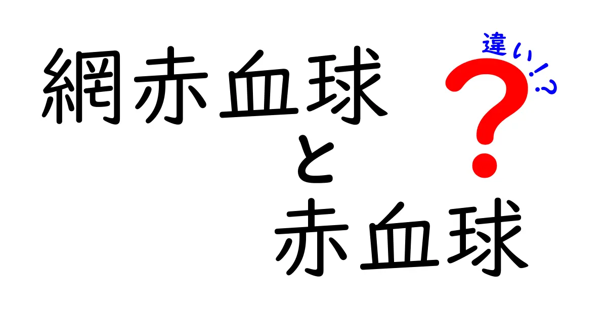 網赤血球と赤血球の違いを徹底理解!血液の仕組みをやさしく解説するクリック必至の入門ガイド