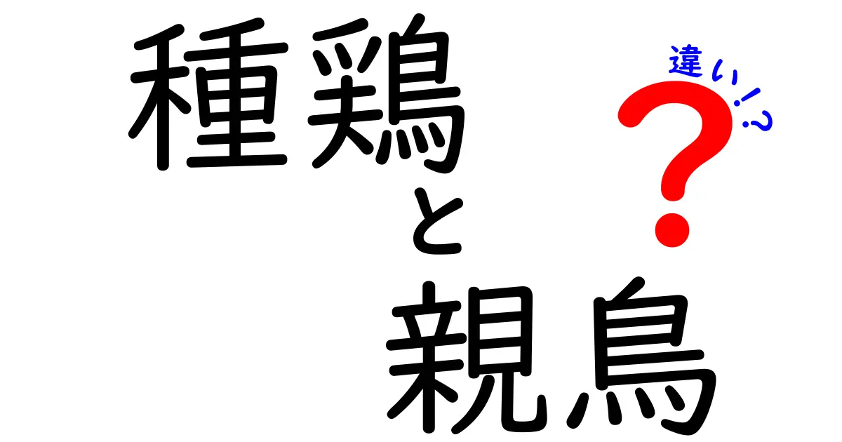 種鶏と親鳥の違いを完全解説!繁殖・卵・肉の謎をわかりやすく見抜く方法