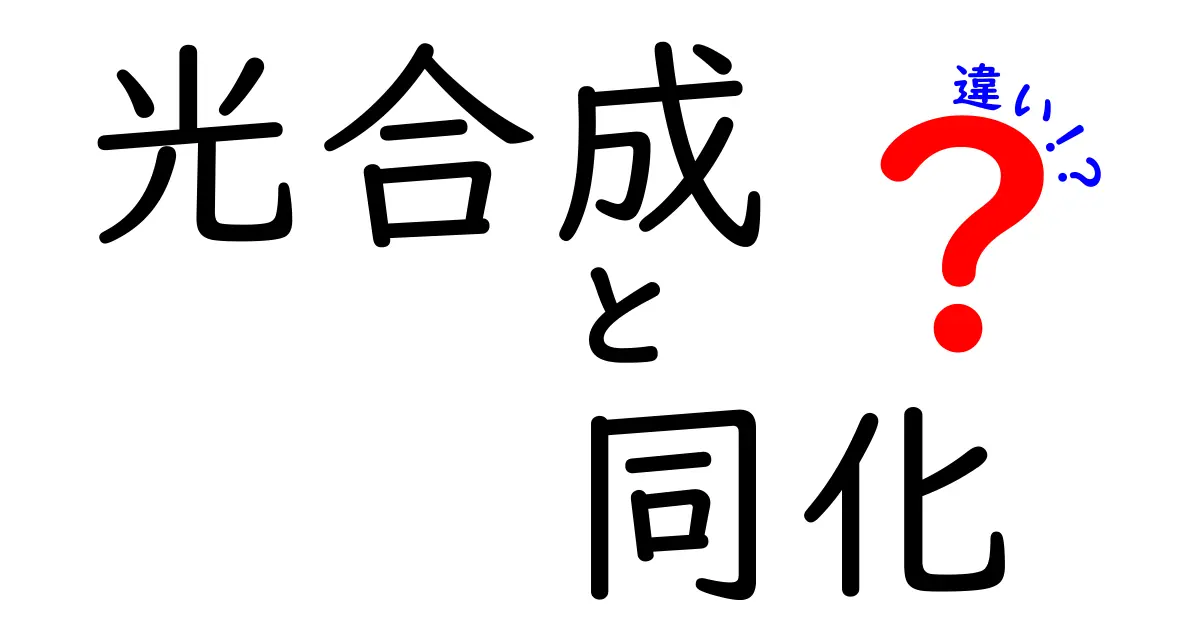 光合成と同化の違いを徹底解説!中学生にも分かるやさしい理解ガイド