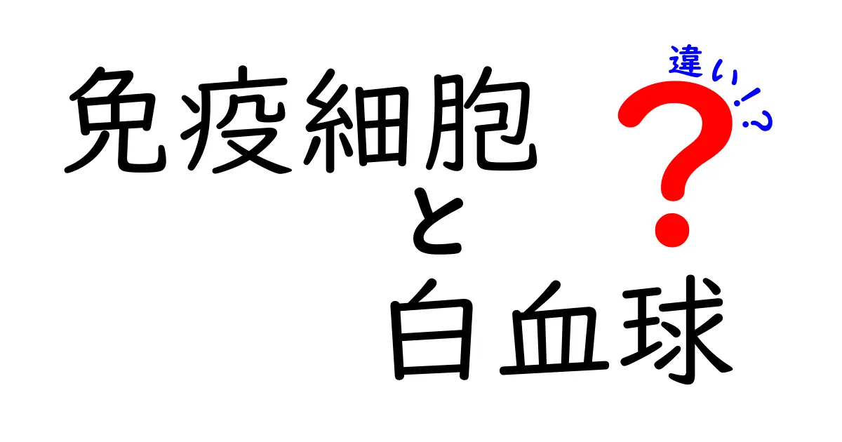免疫細胞と白血球の違いをわかりやすく解説！役割や種類のポイントまとめ