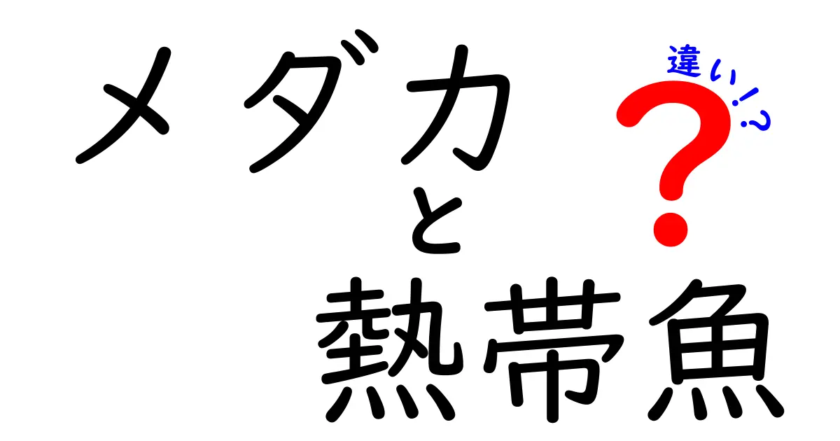 メダカと熱帯魚の違いとは？飼育のポイントや特徴を徹底解説！