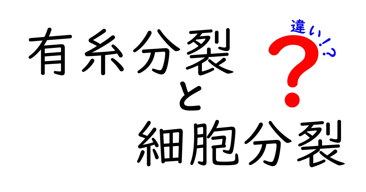 有糸分裂と細胞分裂の違いを徹底解説!中学生にも伝わるポイントと図解