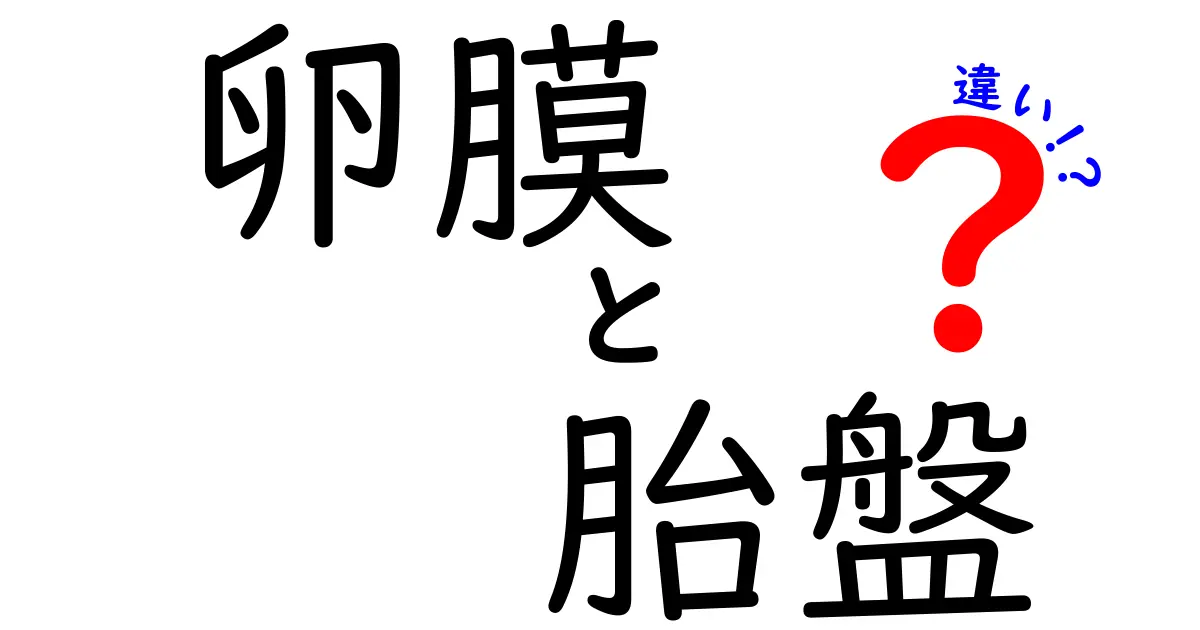 卵膜と胎盤の違いをやさしく解説!中学生にも伝わる体のしくみ