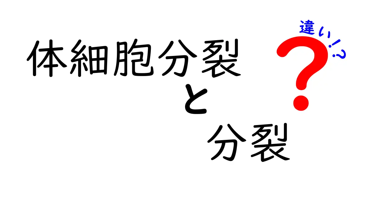 体細胞分裂と分裂の違いを完全解説!細胞が増える仕組みを中学生にもやさしく