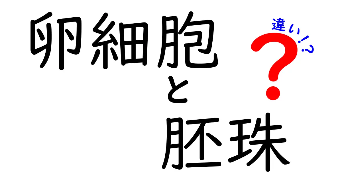 卵細胞と胚珠の違いを徹底解説!受精までの発生の流れがわかる中学生にもわかる解説