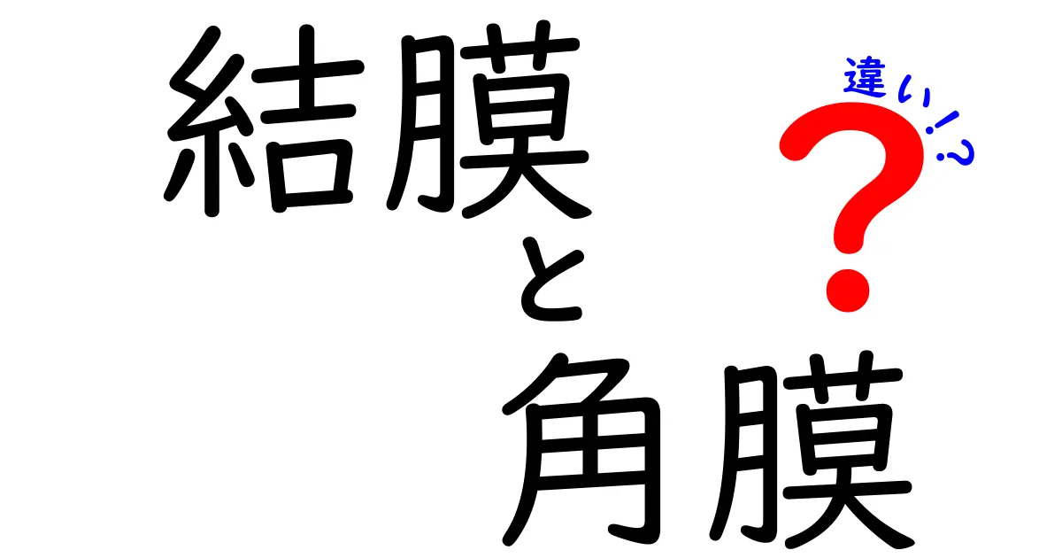 結膜と角膜の違いをわかりやすく解説!目の健康を守るポイントとは?