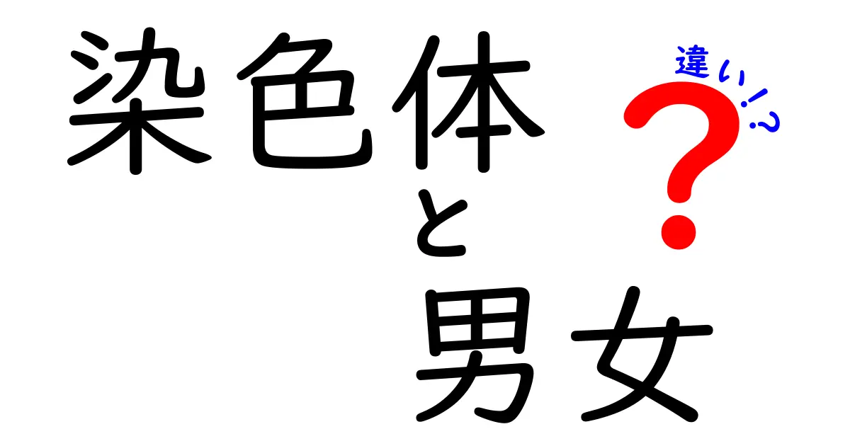 染色体で知る男女の違い—性別はどう決まるのかをやさしく解説