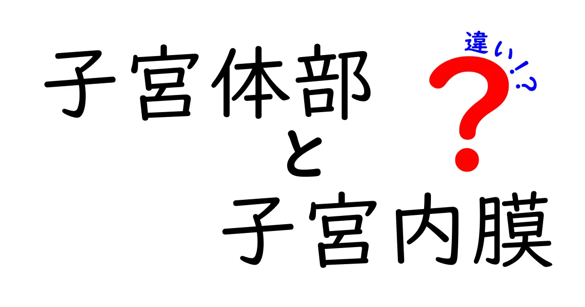 子宮体部と子宮内膜の違いを徹底解説|中学生にもわかる基礎知識