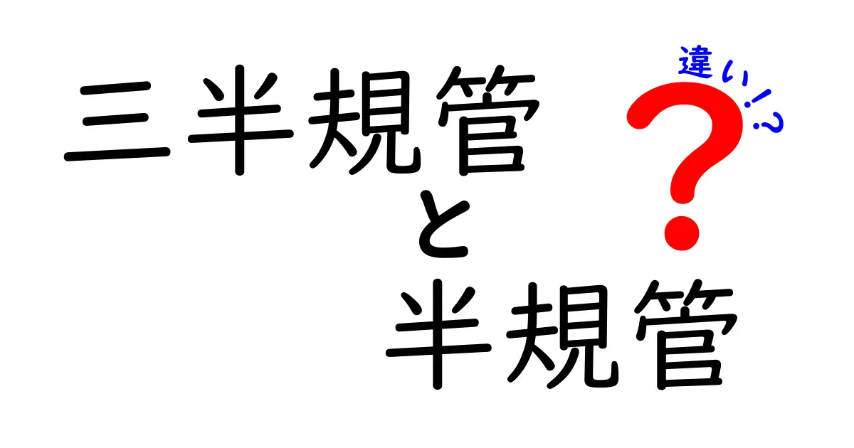 三半規管と半規管の違いをやさしく解説！中学生にも伝わる耳の内側の仕組み