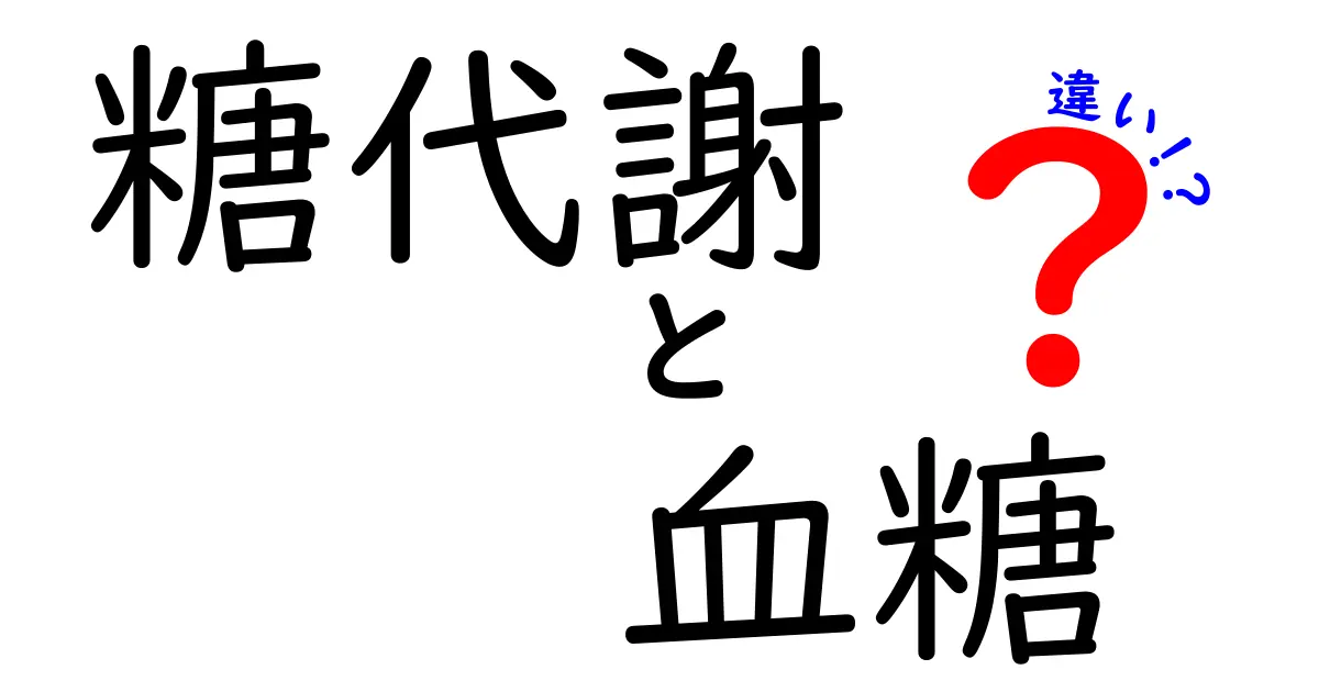 糖代謝と血糖の違いを徹底解説!エネルギーと血糖値の関係をやさしく理解する