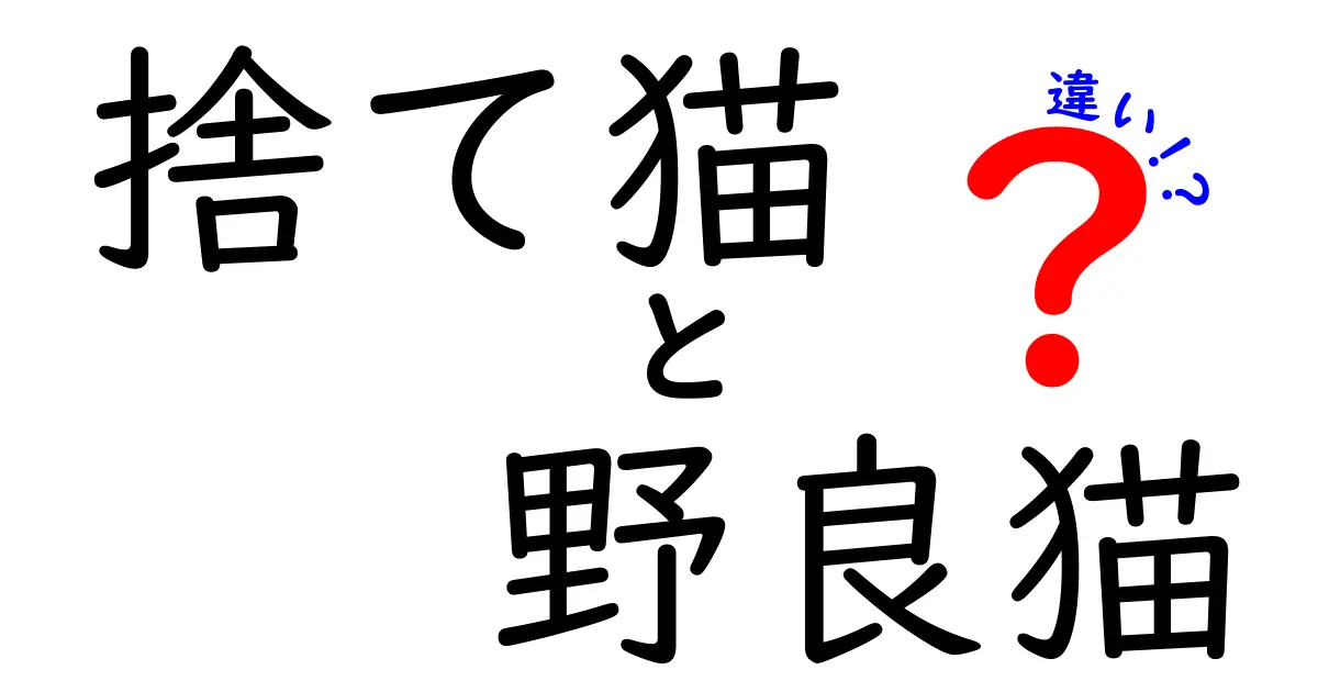 捨て猫と野良猫の違いを丁寧に解説!見分け方と地域での付き合い方