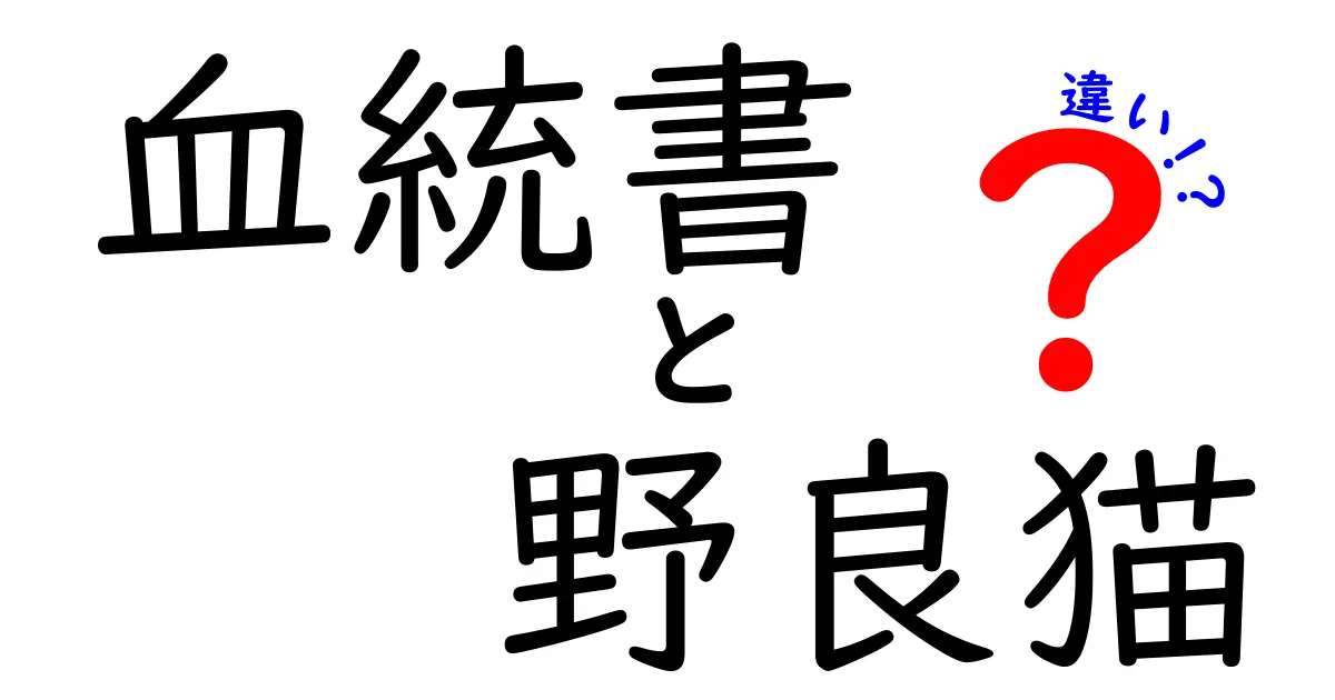 血統書と野良猫の違いが丸わかり！飼い猫と野良猫の見分け方とポイント