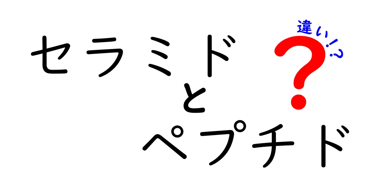セラミドとペプチドの違いとは？美肌に欠かせない成分をわかりやすく解説！