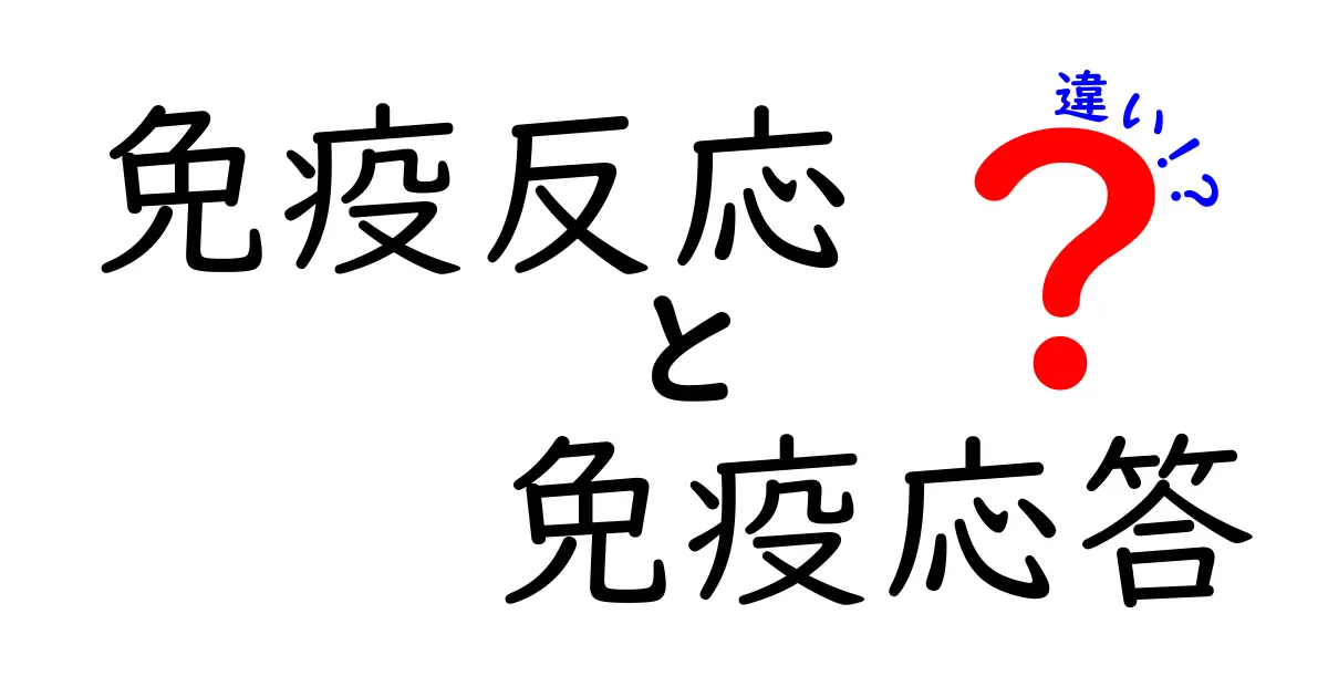 免疫反応と免疫応答の違いを徹底解説!中学生にもわかるやさしい読み方