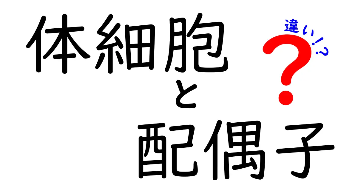 体細胞と配偶子の違いを徹底解説!中学生にも分かる基礎と身近な例