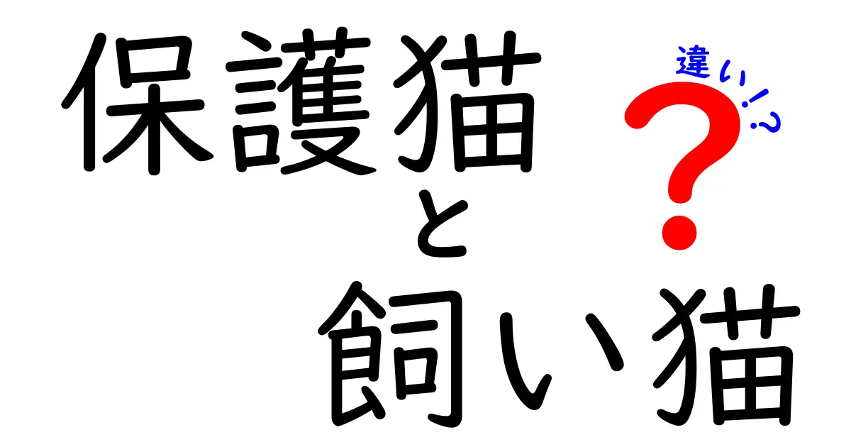 保護猫と飼い猫の違いを徹底解説!今すぐ知っておきたい9つのポイント