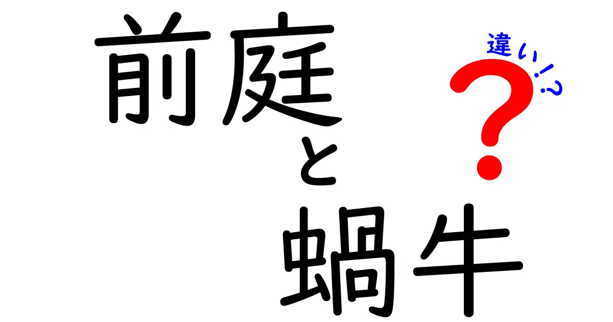 前庭と蝸牛の違いを徹底解説!耳の奥の役割をやさしく理解しよう