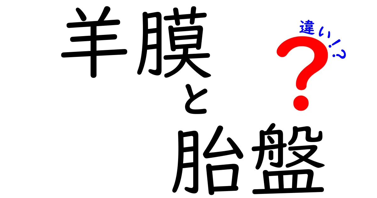 羊膜と胎盤の違いを徹底解説 受精から出産までを守る2つの膜