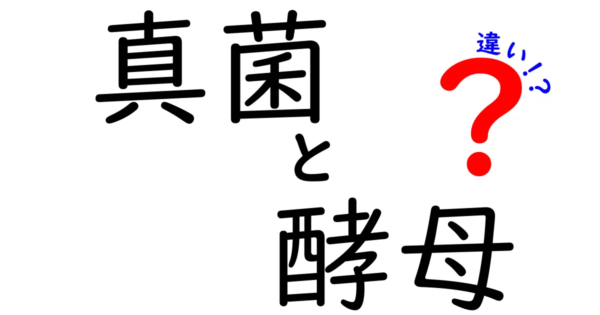 真菌と酵母の違いを徹底解説!混同しやすい2つの微生物をスッキリ見分ける3つのポイント