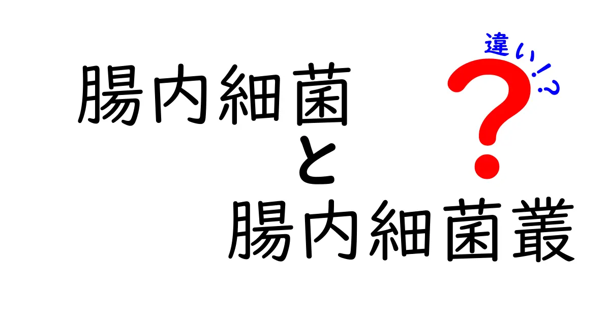 腸内細菌と腸内細菌叢の違いを徹底解説!初心者にも分かる重要ポイントと生活への活かし方