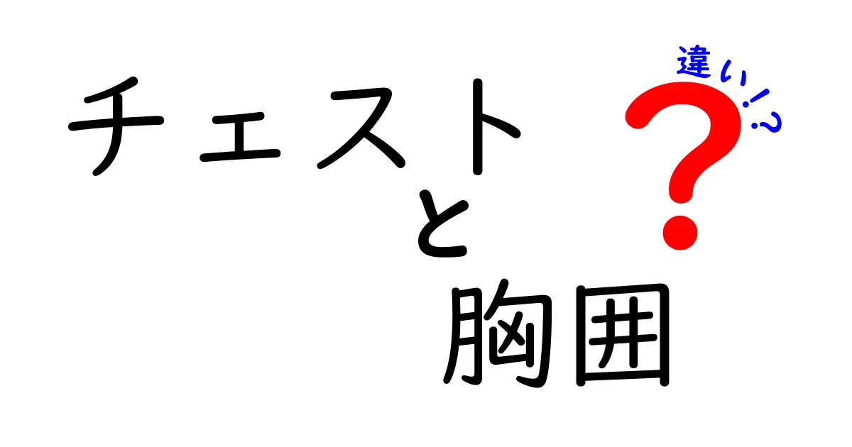 チェストと胸囲の違いを徹底解説！衣服選びからスポーツ測定まで使い分けのコツ