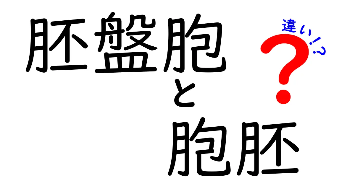 胚盤胞と胞胚の違いを徹底解説:受精後の発育ステップをやさしく理解する