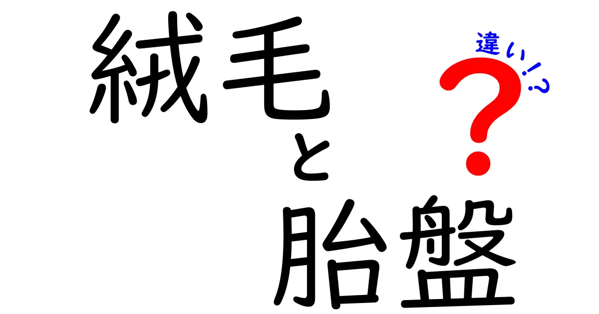 絨毛と胎盤の違いを徹底解説!中学生にも分かる絨毛と胎盤の違いのポイント
