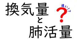 換気量と肺活量の違いって何？中学生でも分かる呼吸の基礎知識を解説！