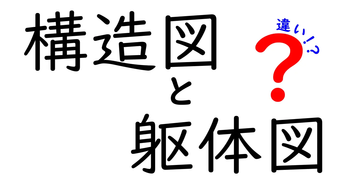 構造図と躯体図の違いとは?初心者でもわかる建築図面の基本解説