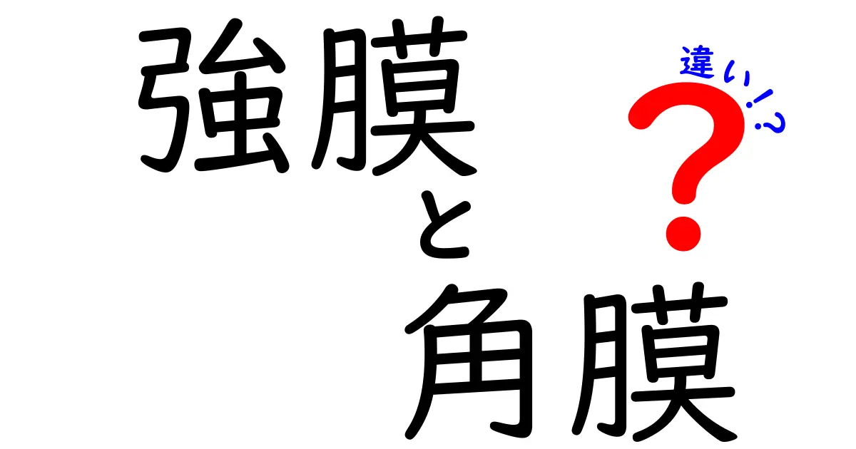 【強膜と角膜の違い完全ガイド】目の外側を守る2つの大切な部分とは？