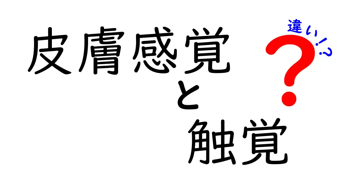 皮膚感覚と触覚の違いを徹底解説!日常の疑問をすっきり解消するロードマップ