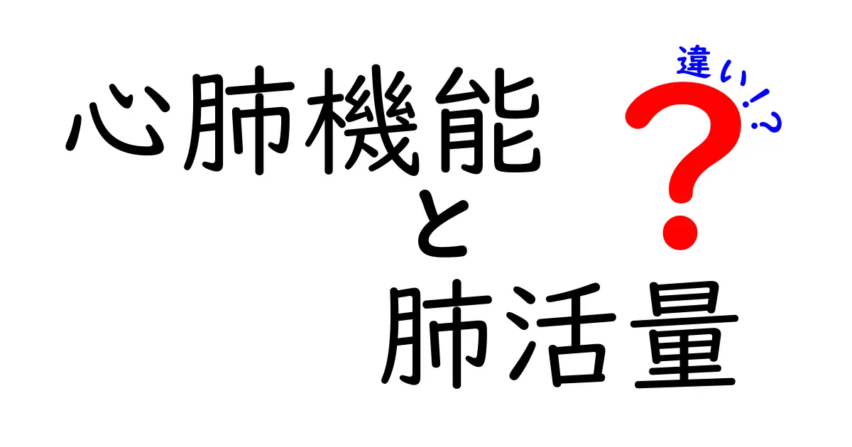 心肺機能と肺活量の違いとは？健康維持に役立つ基礎知識をわかりやすく解説！