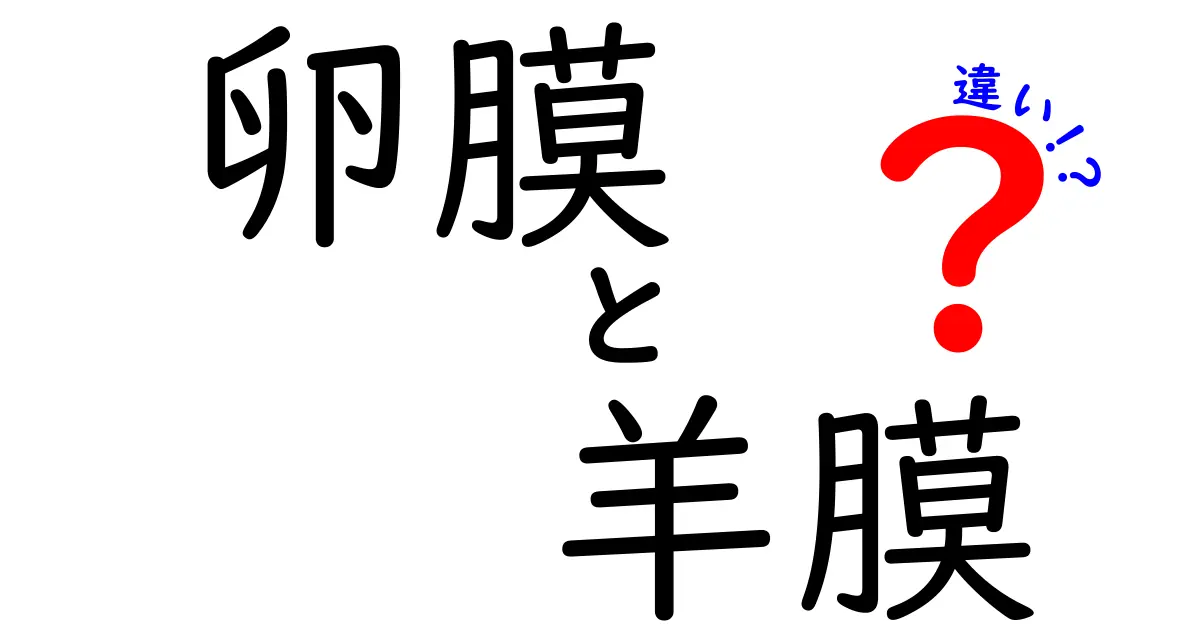 卵膜と羊膜の違いを徹底解説!中学生にも伝わる分かりやすい解説