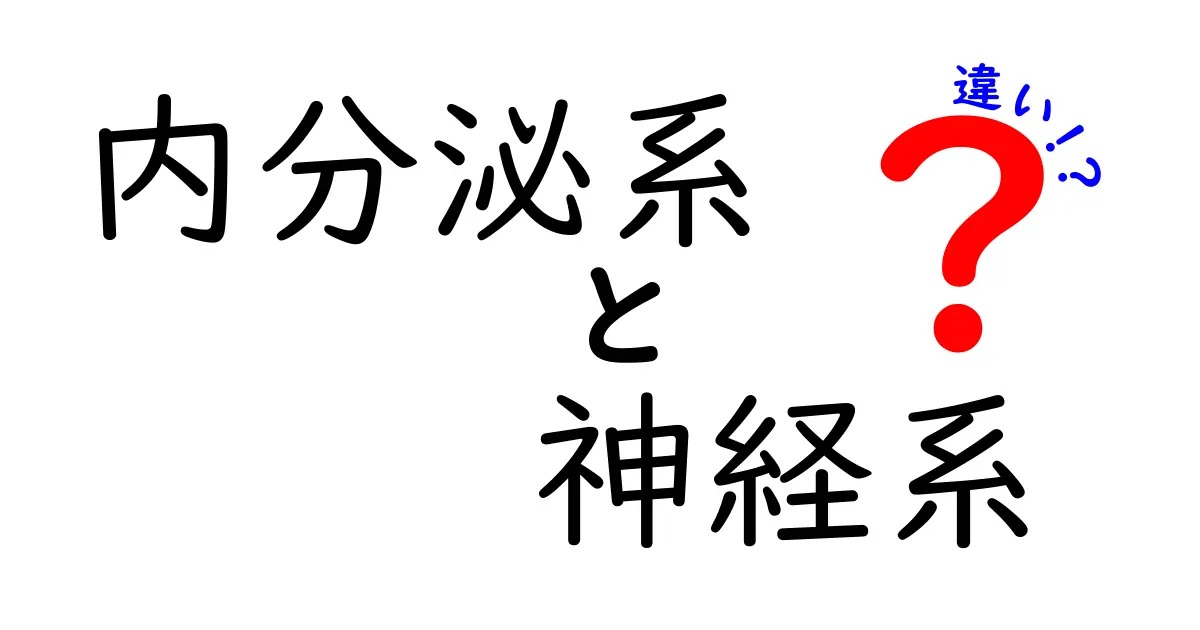 内分泌系と神経系の違いを完全図解!速さ・伝わり方・役割を中学生にもわかりやすく解説