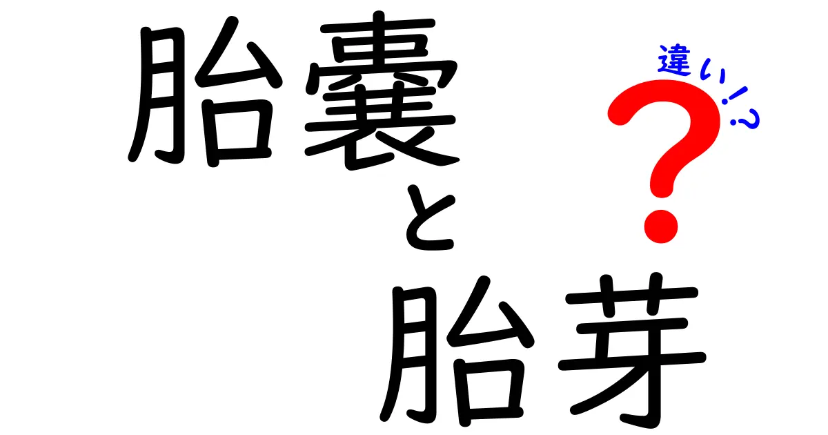胎嚢と胎芽の違いをわかりやすく解説!妊娠初期の発育を正しく理解するためのポイント