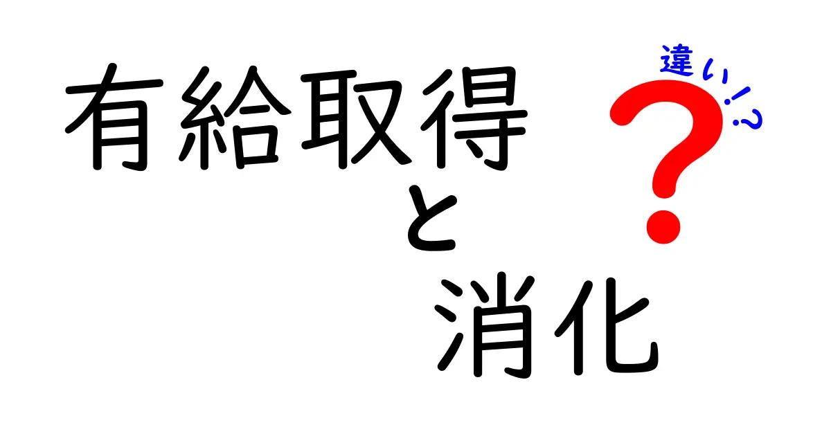 有給取得と消化の違いを徹底解説！権利と実務の境界をわかりやすく整理
