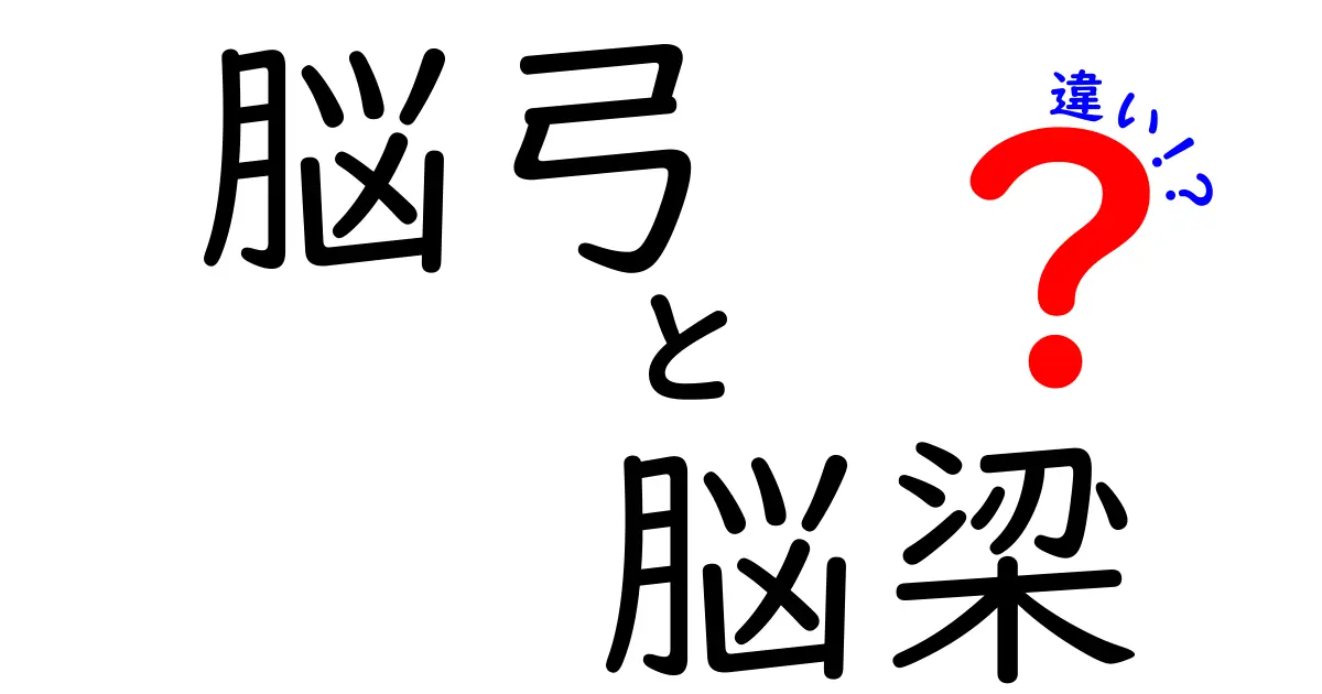 脳弓と脳梁の違いをやさしく解説！中学生にもわかる図解付きガイド